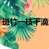 斑竹一枝千滴淚比喻什么（斑竹一枝千滴淚）