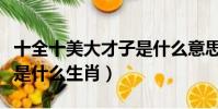 十全十美大才子是什么意思(十全十美大才子是什么生肖)