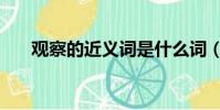觀察的近義詞是什么詞(觀察的拼音)
