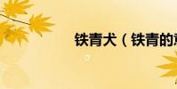 鐵青犬(鐵青的意思)