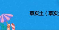 草炭土(草炭土)