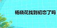 楊曉花找到初戀了嗎(楊曉花)