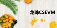 龍珠CSEVM 21