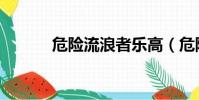 危險流浪者樂高(危險流浪者)