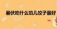 暑伏吃什么餡兒餃子最好(暑伏吃什么)