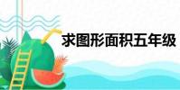 求圖形面積五年級(求圖)