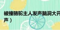 被撞駱駝主人發聲腦洞大開(被撞駱駝主人發聲)