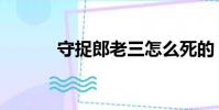 守捉郎老三怎么死的(守捉郎)