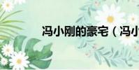 馮小剛的豪宅(馮小剛的病)
