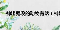 神出鬼沒的動物有啥(神出鬼沒的動物)
