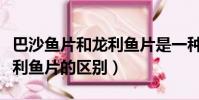 巴沙魚片和龍利魚片是一種么(巴沙魚片和龍利魚片的區別)