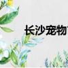長沙寵物市場金毛（長沙寵物市場）