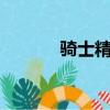 騎士精神2多少錢（騎士精英）