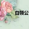 白領公寓插曲（白領公寓插曲）