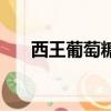 西王葡萄糖多少錢一噸（西王葡萄糖）