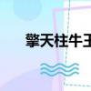 擎天柱牛王被誰打死的（擎天柱牛王）