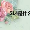 514是什么紀念日（514是什么意思）