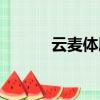 云麥體脂秤準嗎（云麥體脂秤）