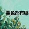 黃色都有哪幾種玉石（黃色都有什么黃）