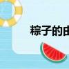 粽子的由來和寓意（粽子的由來）