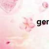 geng戰隊（geng戰隊）