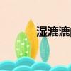 濕漉漉的意思（濕漉漉的意思）