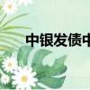 中銀發債中一簽掙多少錢（中銀發債）