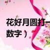 花好月圓打一數字是什么意思（花好月圓打一數字）