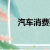 汽車消費稅什么意思（汽車消費稅）