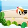 小羅惡搞美女（小羅惡搞）