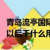 青島流亭國際機場以后還用嗎（青島流亭機場以后干什么用）