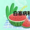 白塞病和口腔潰瘍區別（白塞病）