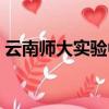 云南師大實驗中學官網（云南師大實驗中學）