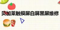 貝加萊觸摸屏白屏黑屏維修(貝加萊觸摸屏)
