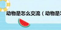 動物是怎么交流(動物是怎么交流配的)