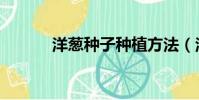 洋蔥種子種植方法(洋蔥種子)