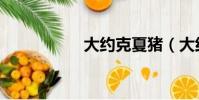 大約克夏豬(大約克)