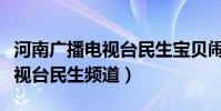 河南廣播電視臺民生寶貝鬧新春(河南廣播電視臺民生頻道)