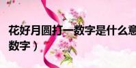 花好月圓打一數字是什么意思(花好月圓打一數字)