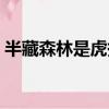 半藏森林是虎撲女神嗎（半藏森林是什么梗）