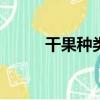干果種類100種圖片（干果種類）