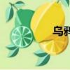 烏鴉玩游戲（烏鴉喜諛）