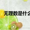 無理數是什么時候發現的（無理數是什么）