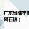 廣東省陸豐市碣石鎮報警電話（廣東省陸豐市碣石鎮）