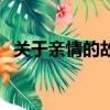 關于親情的故事一年級（關于親情的故事）