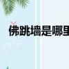 佛跳墻是哪里的特產（佛跳墻是哪個菜系）