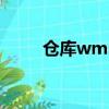 倉庫wms系統哪家好（倉庫wms）