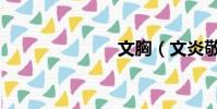 文胸(文炎敬)