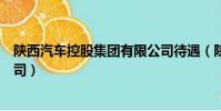 陜西汽車控股集團有限公司待遇(陜西汽車控股集團有限公司)