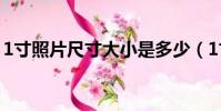 1寸照片尺寸大小是多少(1寸照片尺寸大小)